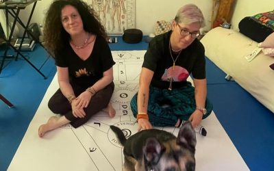 Amiche Erbe: inizia il viaggio nella magia verde